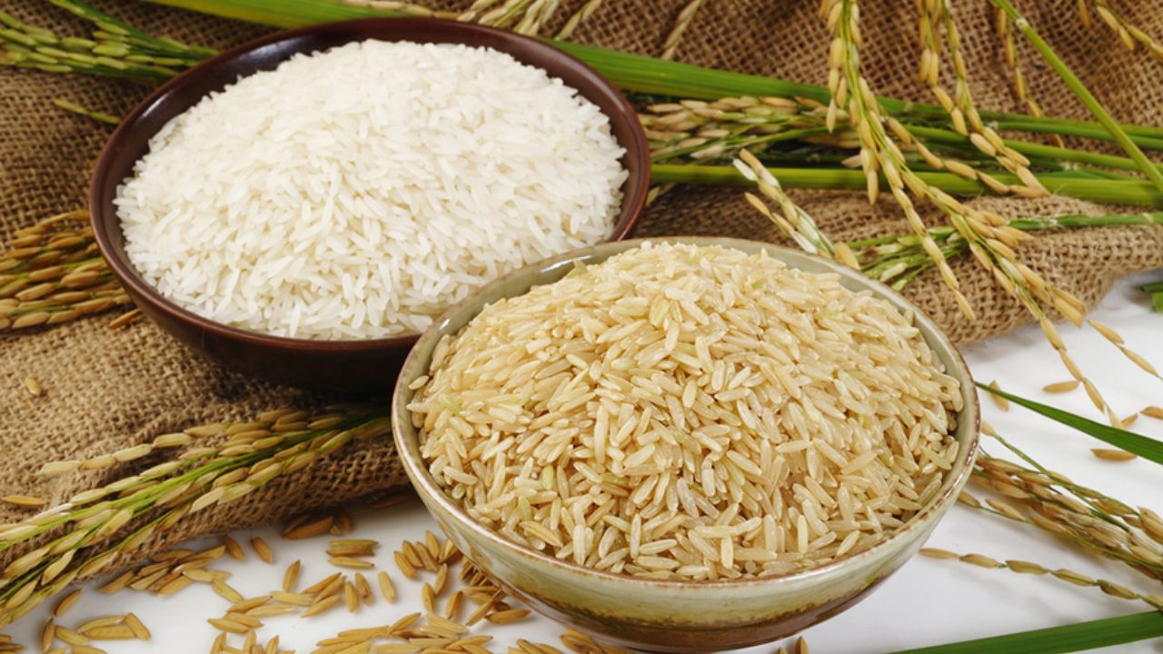 شایعهٔ مصادر و جریمهٔ ٤ تن برنج متعلق به حوزه علمیه گُشت